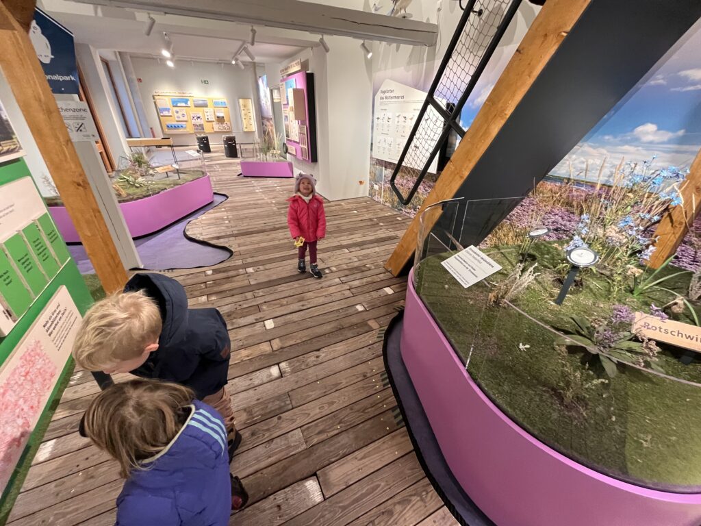 Kinder entdecken interaktive Ausstellung im Nationalpark-Haus Wattenhuus in Bensersiel